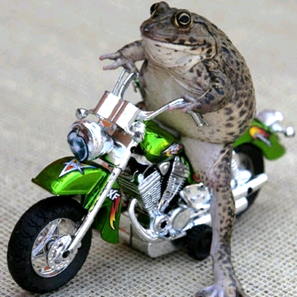 Meet your Posher, Zaddy - Picture 16 of 16